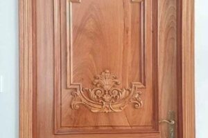 Cửa đi đẹp D081