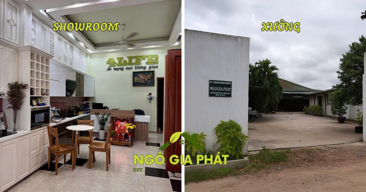 8648b0aa-02e6-4c58-baa6-4499958d3564